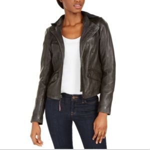 tommy hilfiger leather jacket womens